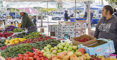 A market with tables of brightly colored, full boxes of fruits and vegetables.